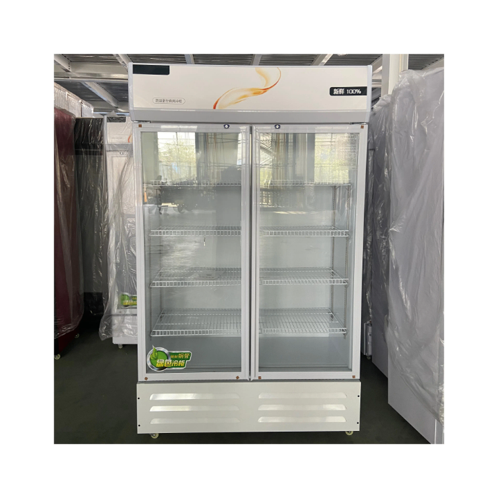 Display Freezer