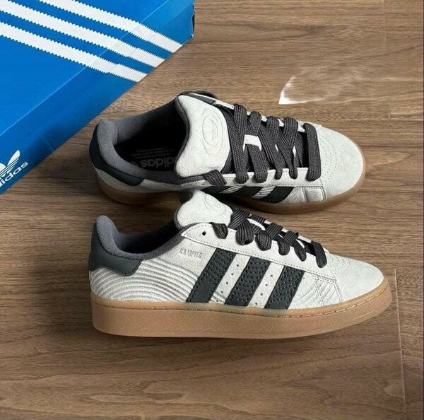 baskets couleur beige, marque Adidas Campus 
