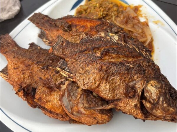 Tilapia grillée,braisé,au four