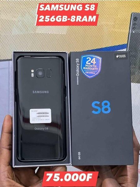 Samsung S8 256Go 8Go RAM
