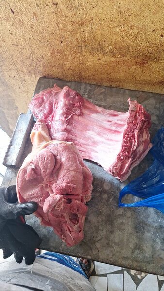 Porc africain (choix de parties)