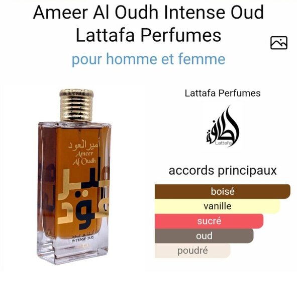 Ameer Al Oudh Intense Oud