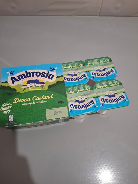 Ambrosia devon custard