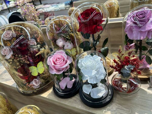 Живая роза в колбе