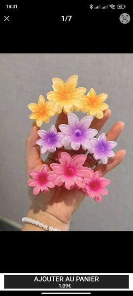 Pinces à cheveux fleurs colorées