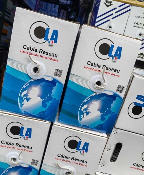 Câble Réseau Haute Vitesse CAT6