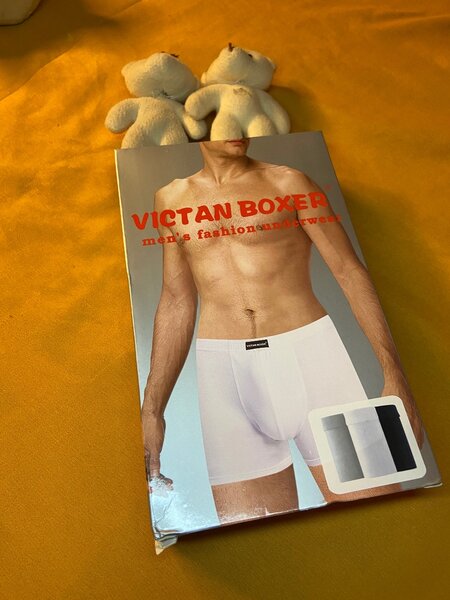 (3)Boxers pour hommes VicTan