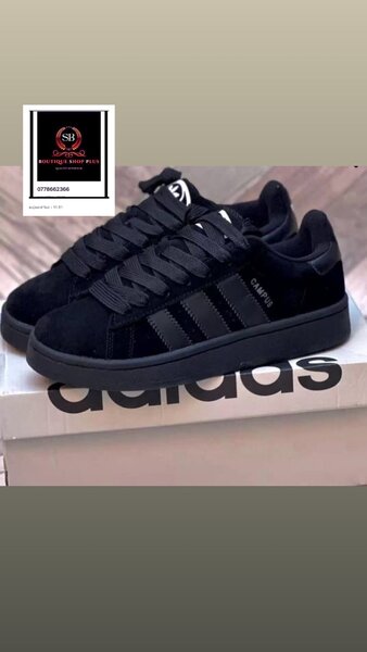 Basket  Adidas campus authentique avec sa boîte