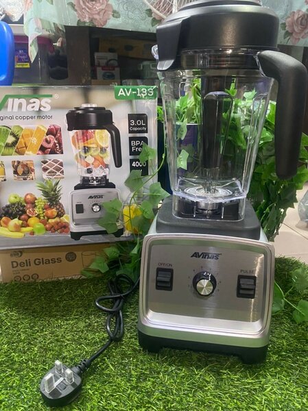 Avinas industrial blender