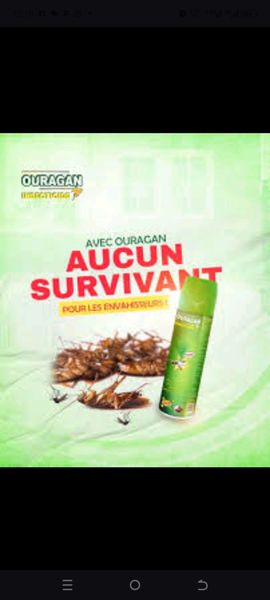 Spray anti-insectes puissant