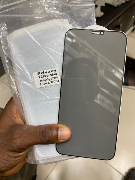Protecteur d'écran confidentialité iPhone 12 Pro Max