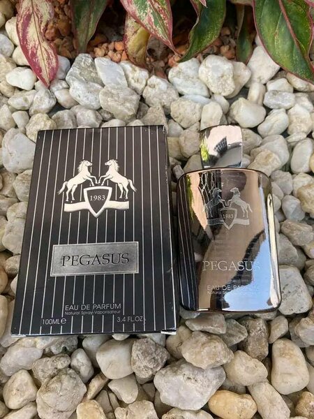 Eau de Parfum Pegasus 100ml