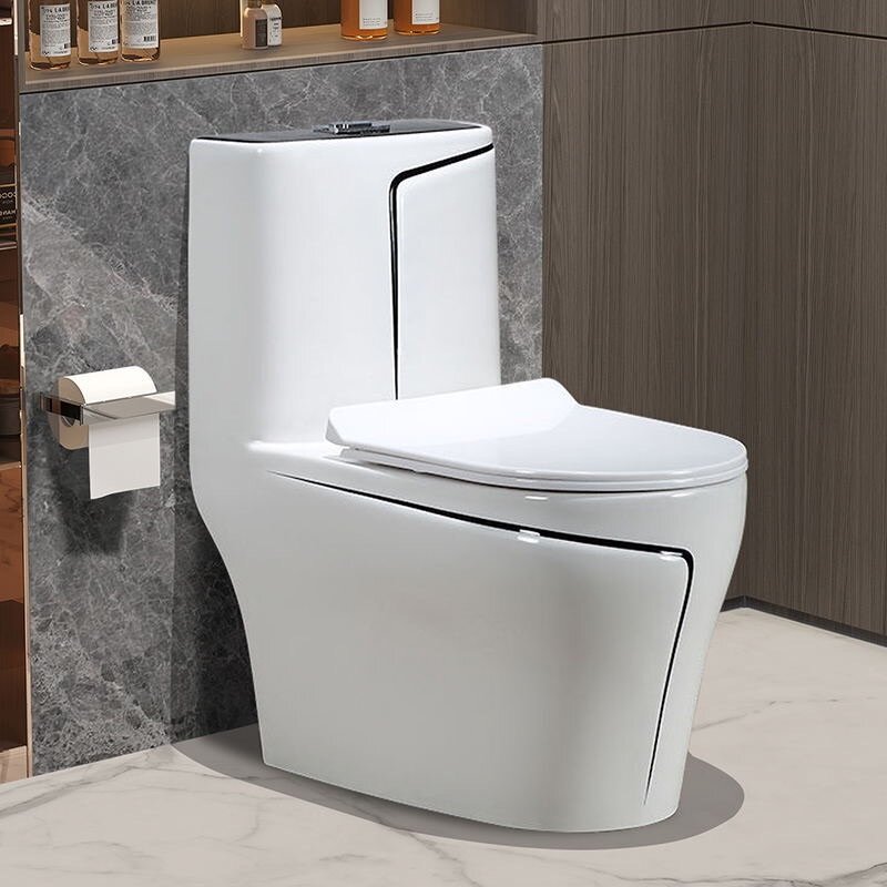 Luxurious modern symphonic Water Closet