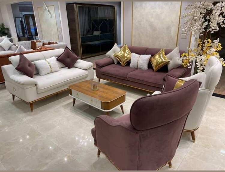 Ensemble de canapés élégants