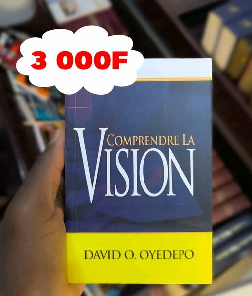 Comprendre la Vision - Livre