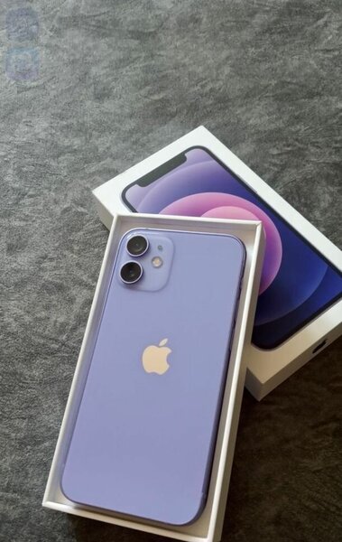 iPhone 12 violet