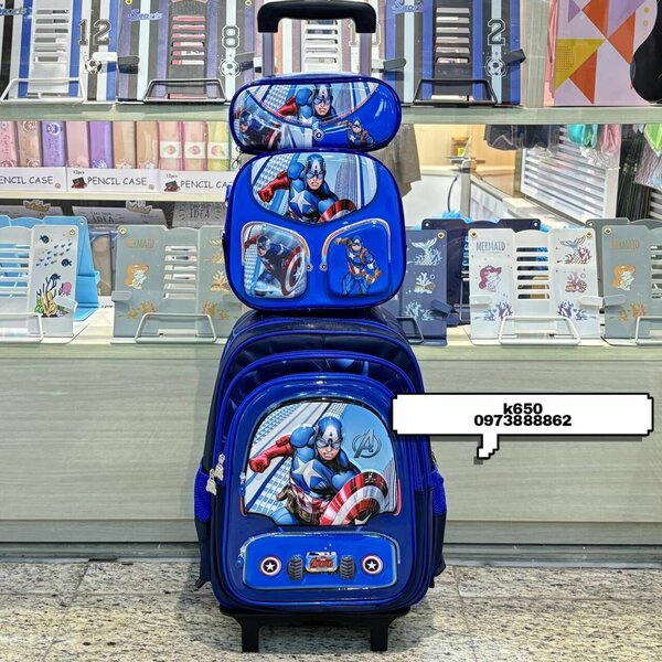 Character trolley bags