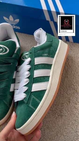 Basket Adidas campus original avec sa boîte