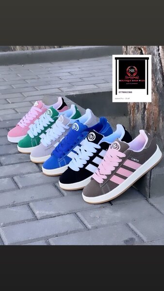 Basket adidas campus authentique avec sa boîte