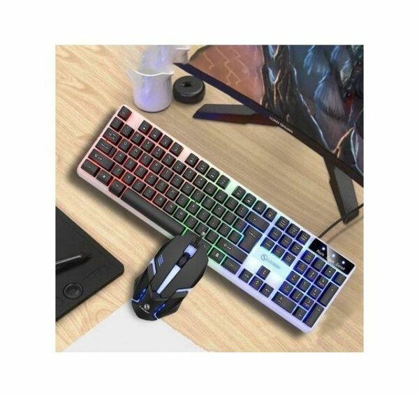 Clavier et Souris Gaming RGB