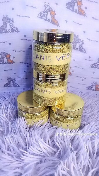 Anis Vert en Pot - Épice Aromatique