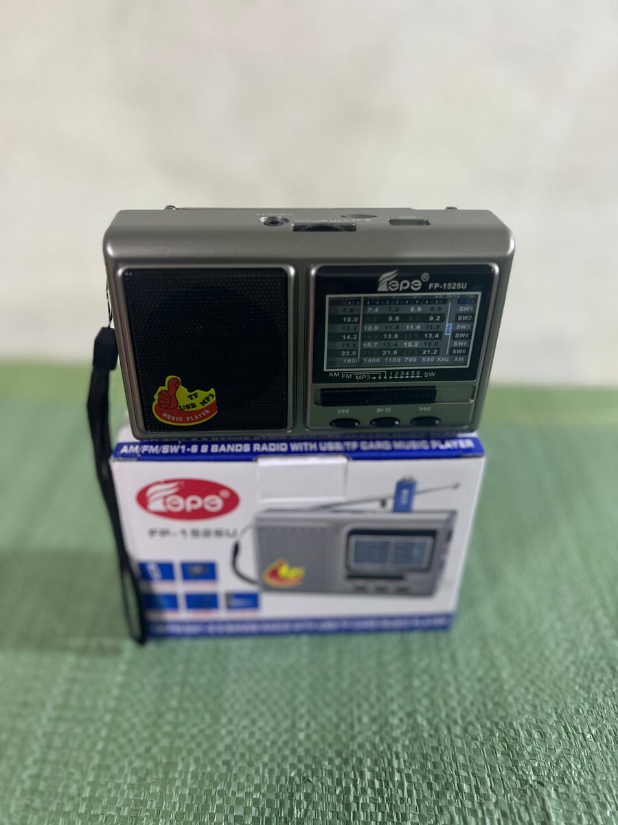 Mini Radio Rétro AM/FM USB/TF