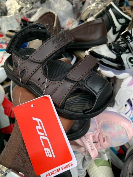 Les chic kitto de chez moi