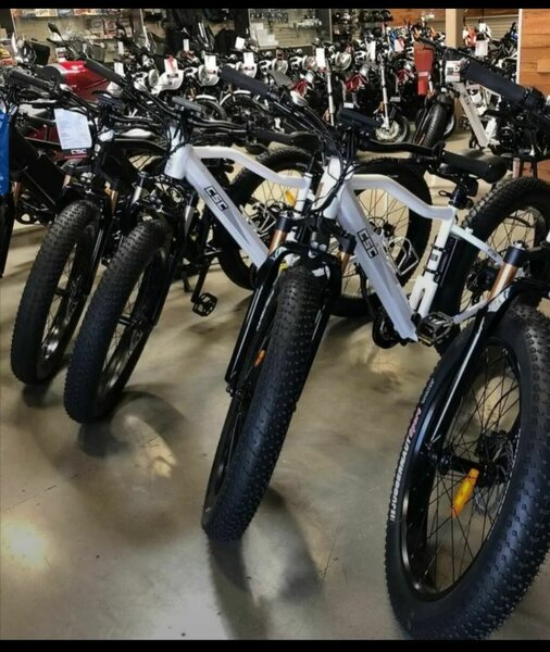 Vélos électriques tout-terrain puissants