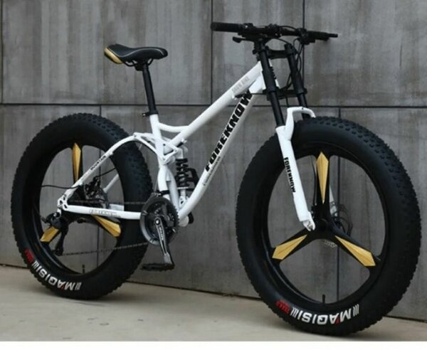 Vélo Fat Bike tout terrain