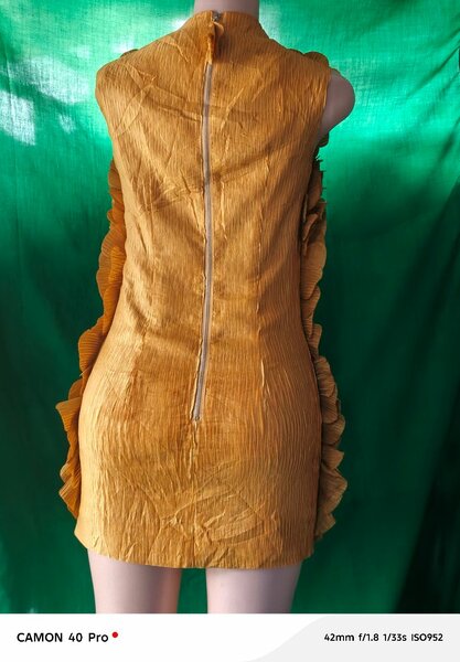 Robe dorée élégante plissée