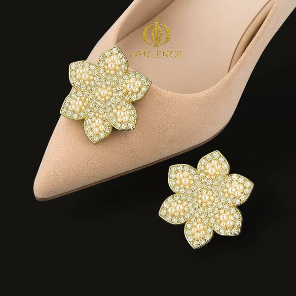 Broches pour chaussures