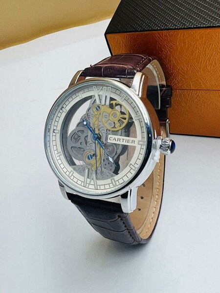 Montre Mécanique Transparente