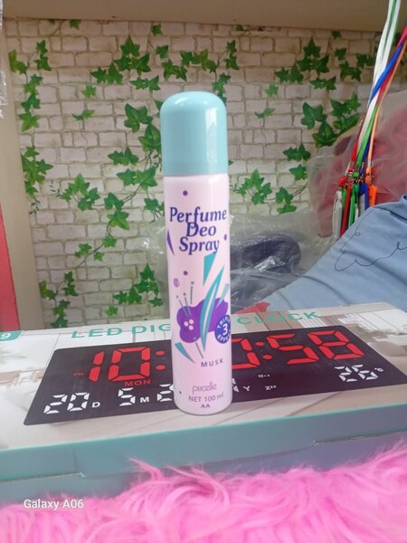 Parfum Déodorant Musk 100ml