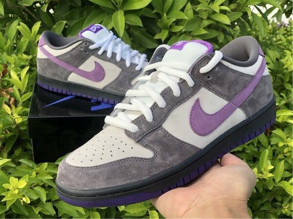 Air Nike SB 