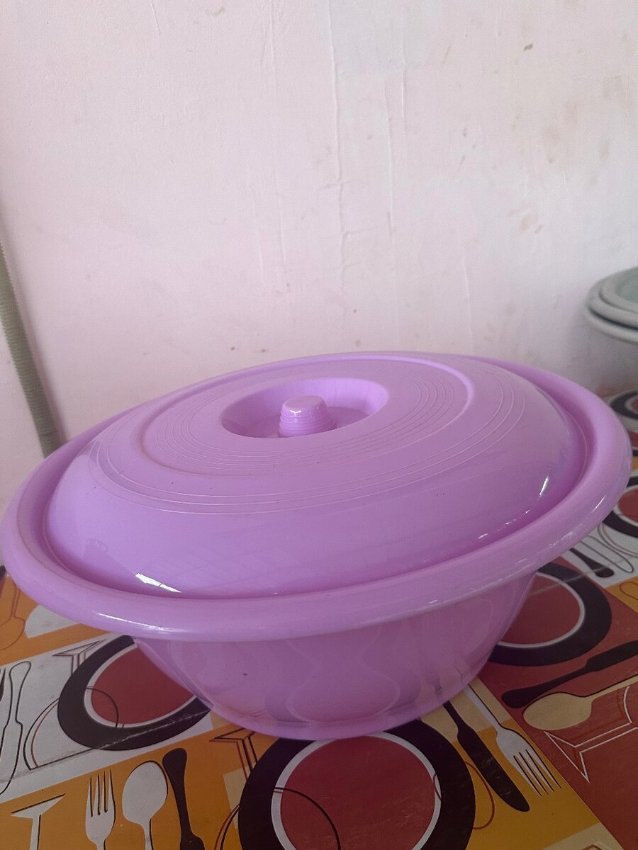 Bols avec couvercles en plastique coloré