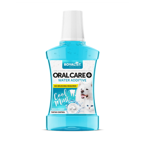 Additif dentaire chien chat menthe