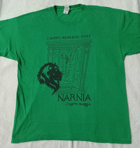 T-shirt vert friperie