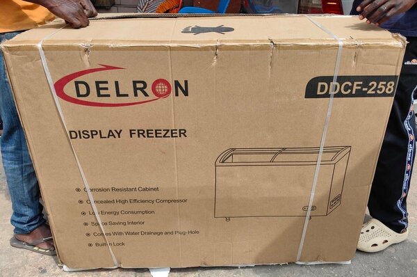 Delron display freezer 258L