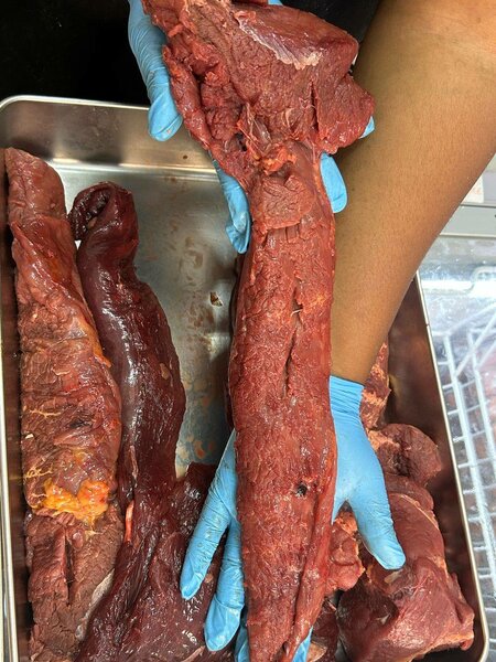 Filet de bœuf local