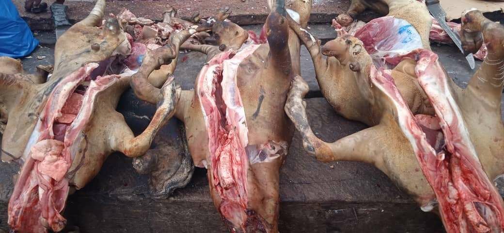 Viande de chèvre fraîche