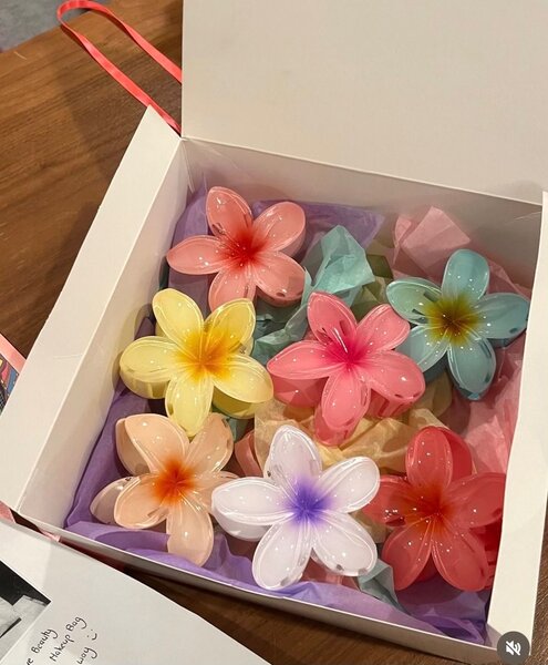 Hair clips and hair bows