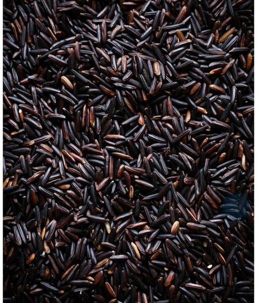 Riz Noir 100% ivoirien