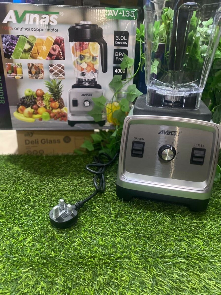 Avinas industrial blender