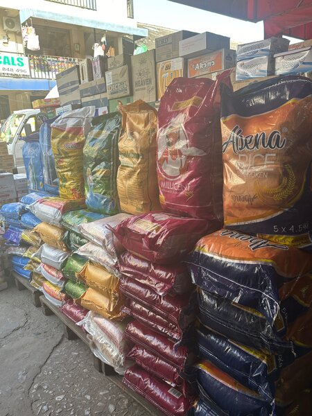 Sardine ,oil and mackerel