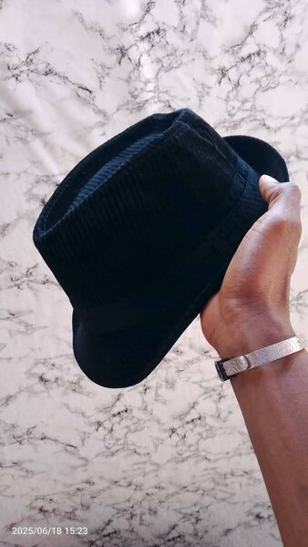 Élégant Chapeau Fedora Chic