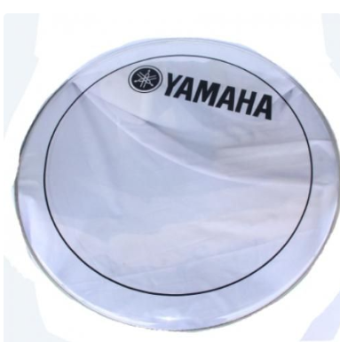 Evans Peaux De Grosse Caisse Transparent - Argenté