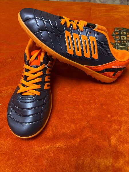 Сороконожки