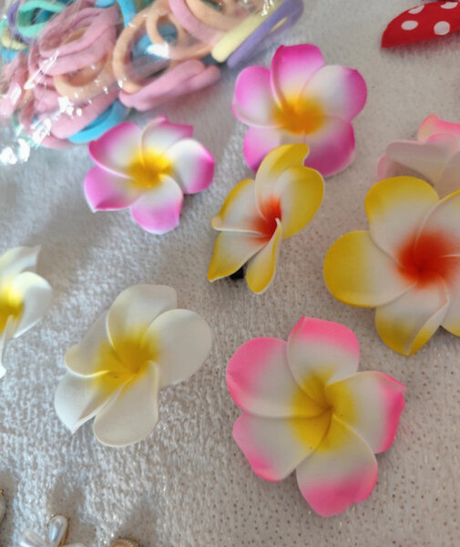 Barrettes à Fleur Exotiques