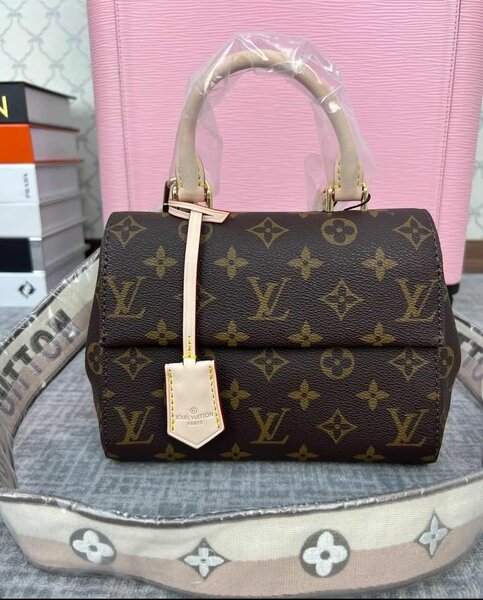 Louis Vuitton Cluny mini