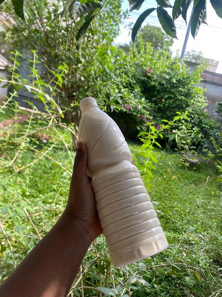 Yaourt au raisin sec